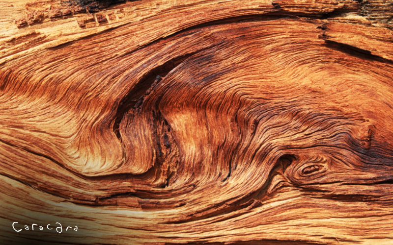 High-quality wood grain material used for crafting stylish furniture pieces.